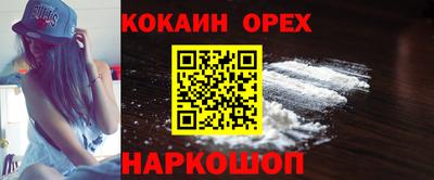 стафф Гатчина