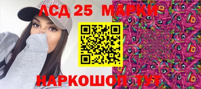 стафф Гатчина