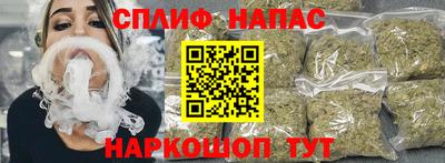 стафф Гатчина