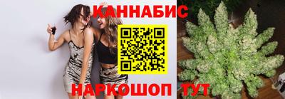 стафф Гатчина