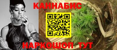 стафф Гатчина