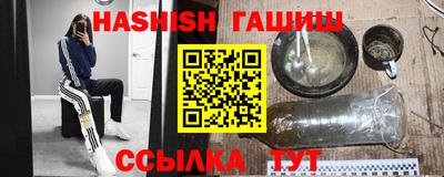 стафф Гатчина